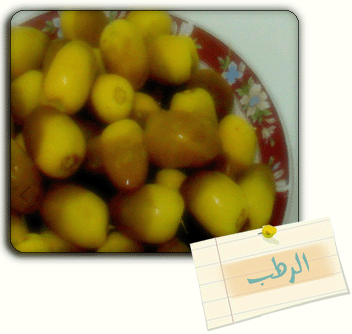 نقرتين لعرض الصورة في صفحة مستقلة