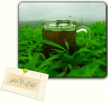 نقرتين لعرض الصورة في صفحة مستقلة